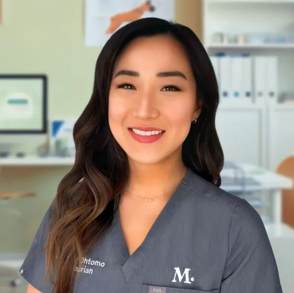 Professional headshot example