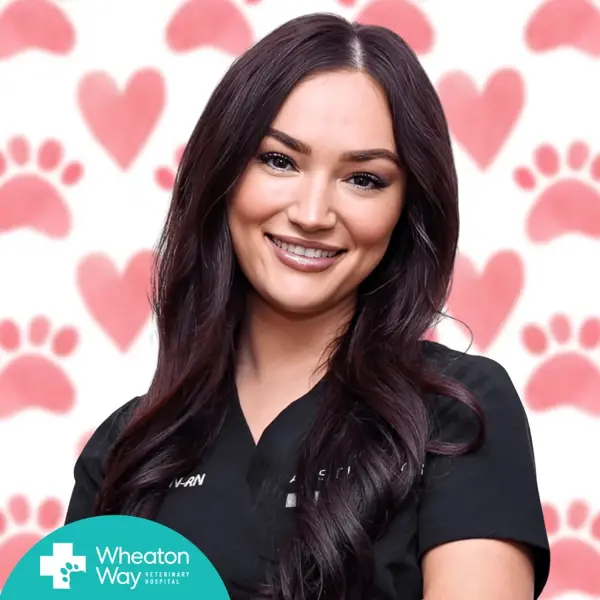 Professional headshot example